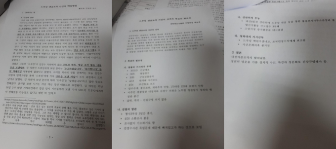 간담회 자료, 주요 논점이 된 부정선거 여부와 특검의 필요성에 대해 강조 하고 있다.