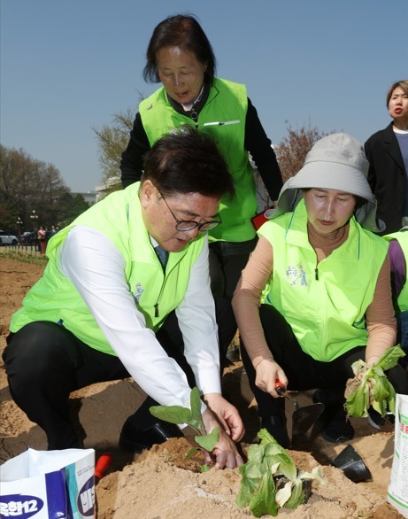 우원식 국회의장이 11일(금) 국회 경내 텃밭에서 열린 '국회 생생텃밭 개장식'에 참석해 백혜련 의원(제22대 생생텃밭 회장)과 작물을 심고 있다<br>
<br>
국회제공