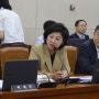더불어민주당 남인순의원